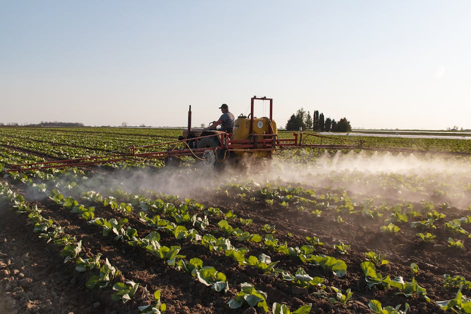 Europa suspende tarifas sobre fertilizantes por um ano