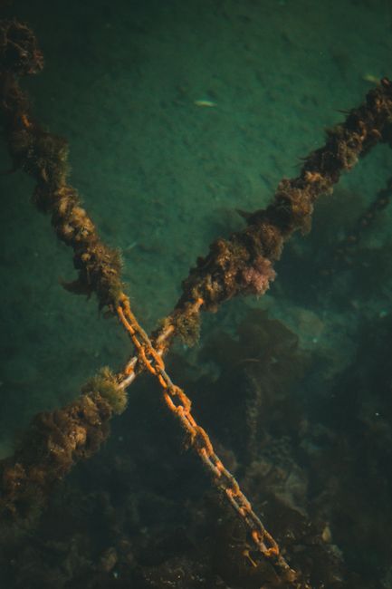 Estados Unidos, Austrália e Reino Unido Investem em Defesa Submarina para Proteger Redes Críticas