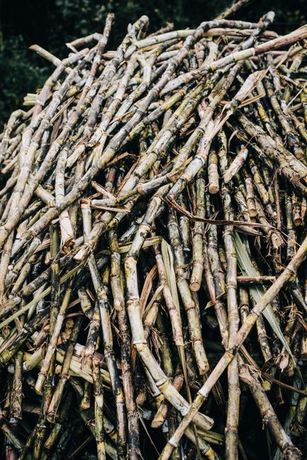 Raízen anuncia plano de reestruturação milionário para equilibrar dívidas
