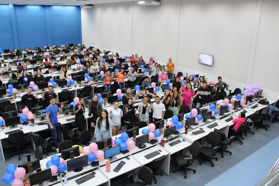 Meta IT Renomeada para Insi: Uma Nova Era de Crescimento Internacional