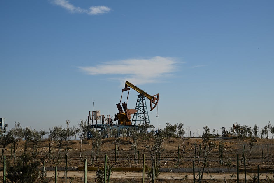Argentina mira produção de 1 milhão de barris/dia em Vaca Muerta até 2028