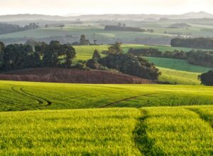 Ministro da Agricultura destaca avanços e parcerias com setor privado