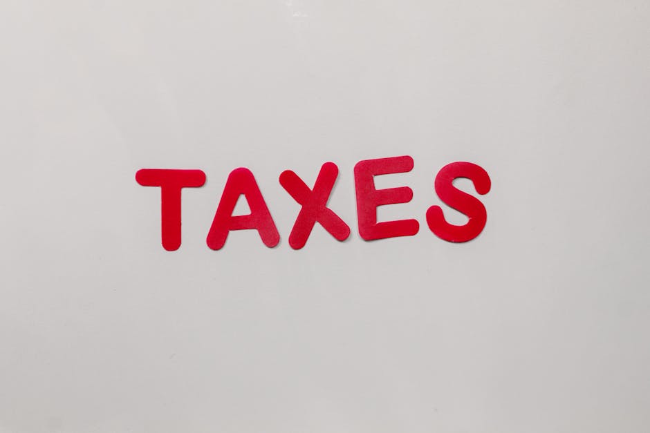 Como Regularizar a Declaração do Imposto de Renda Atrasada