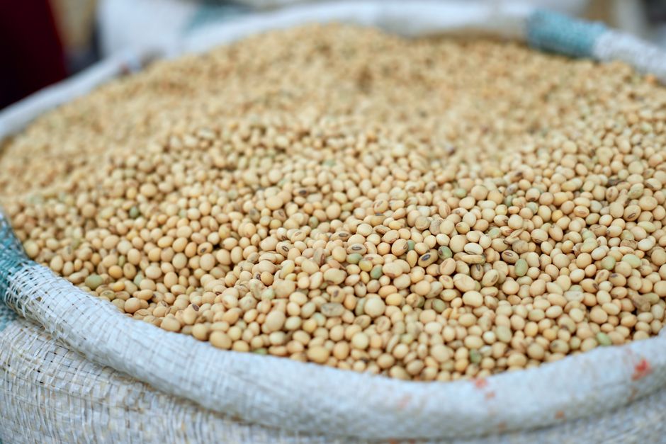 China Abre Mercado para Farelo de Soja Brasileiro