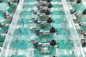 TSMC confirma crescimento com demanda por chips de IA superando oferta