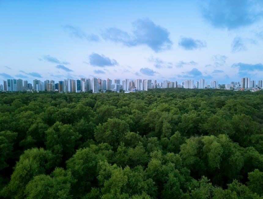 Natura Mantém Compromisso com Sustentabilidade Mesmo Sem Obrigação Legal